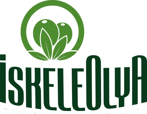 logo main